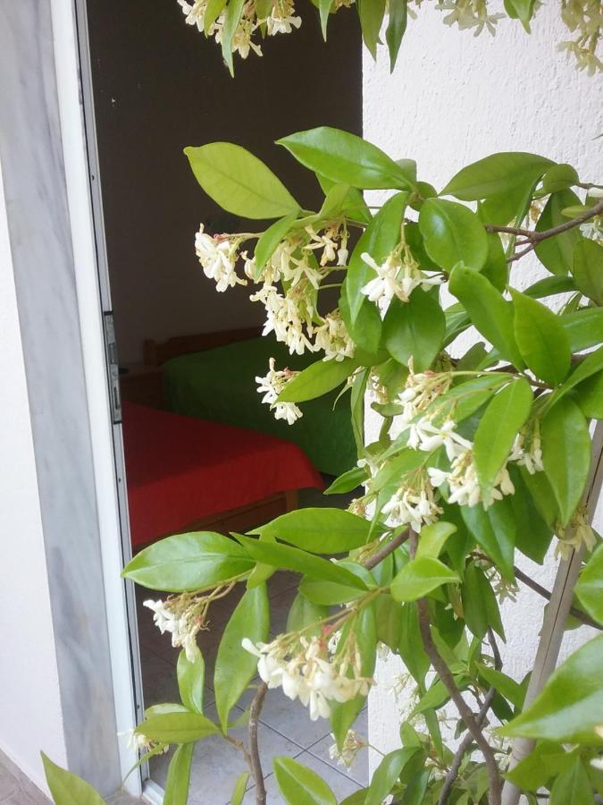 Apartments Christina Неа-Врасна Екстер'єр фото